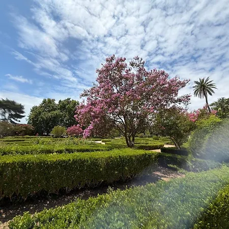 Botanico * Lissabon