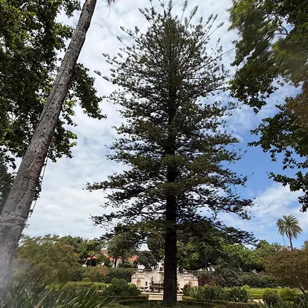 Botanico Appartement Lissabon